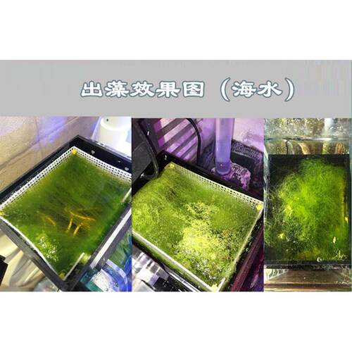 外挂UAS藻盒ATS藻盒鱼缸生态过滤器外挂藻盒除no3海缸海水藻盒