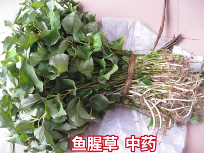 鱼腥草新鲜纯天然狗心草折耳根狗点耳中药材干货深山货肺清泡茶