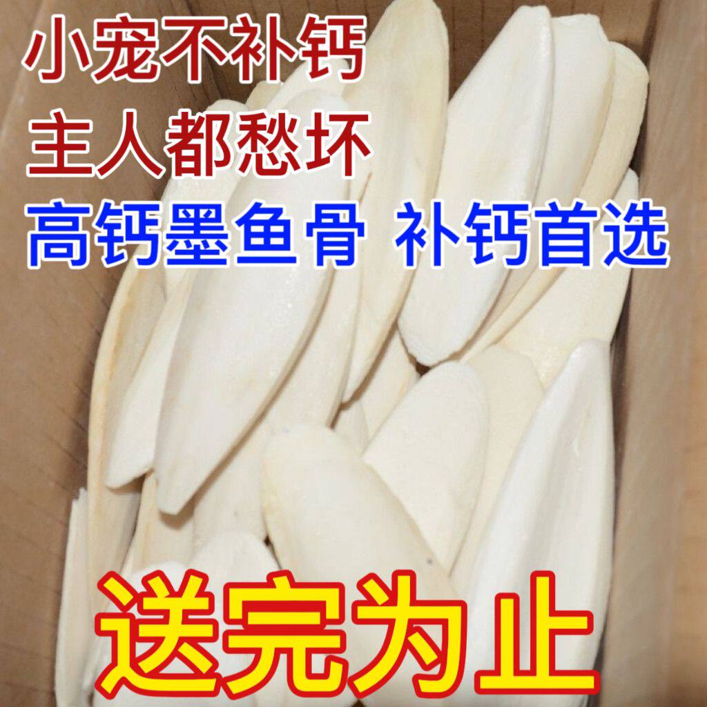 【首单直降】墨鱼骨鹦鹉专用乌龟