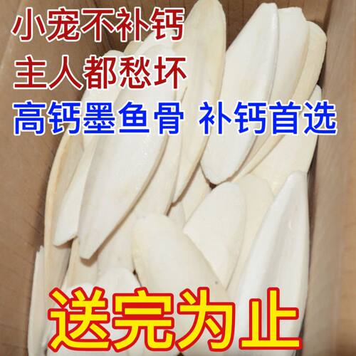 【首单直降】墨鱼骨鹦鹉专用乌龟磨嘴鸟食整块玄凤仓鼠补钙爬行用