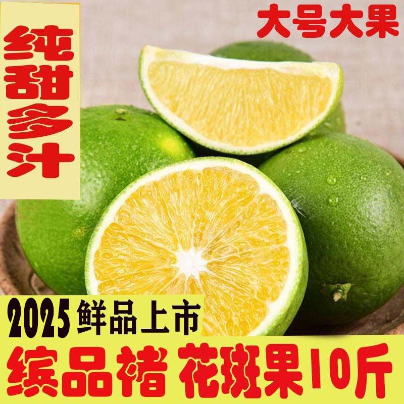 缤品褚花斑橙玉溪冰糖橙绿皮新鲜高原甜橙纯甜无渣橙子哀牢山橙子