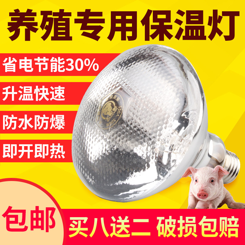 猪用保温灯养殖专用保暖灯猪舍取暖灯泡小鸡育雏兽用畜牧加热烤灯,畜牧/养殖物资,养殖保温灯,淘宝优惠券,粉丝福利购,淘宝优惠卷