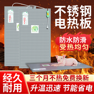 仔猪不锈钢电热板母猪用产床保温箱兽用加热板小猪养殖取暖保温板