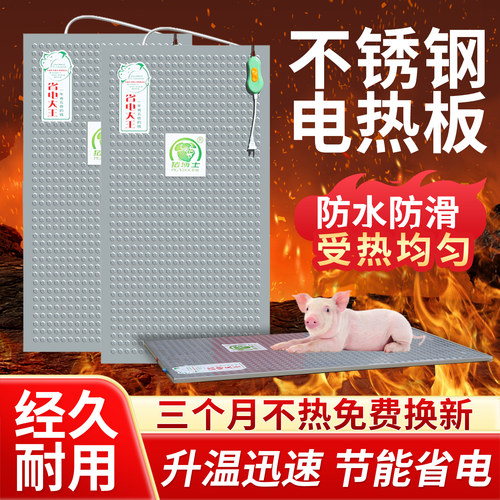 仔猪不锈钢电热板母猪用