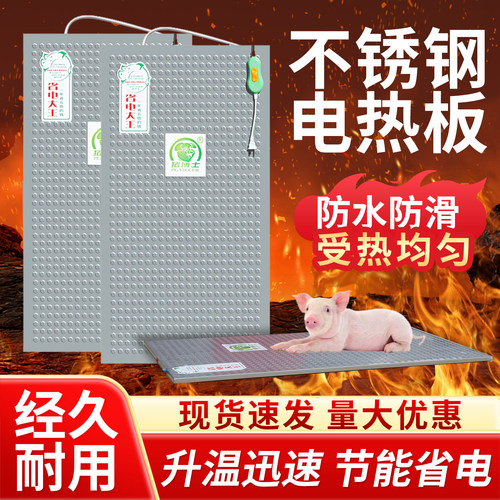 仔猪不锈钢电热板母猪用