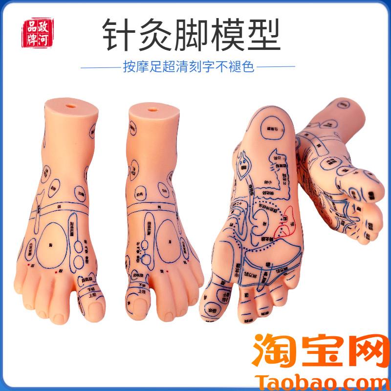 原装适用脚穴位模型足部底耳模耳朵手经络手部推拿针灸足底脚模推