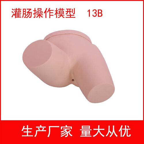 厂家直销灌肠操作模型灌肠练习模型O护士灌肠实习模型
