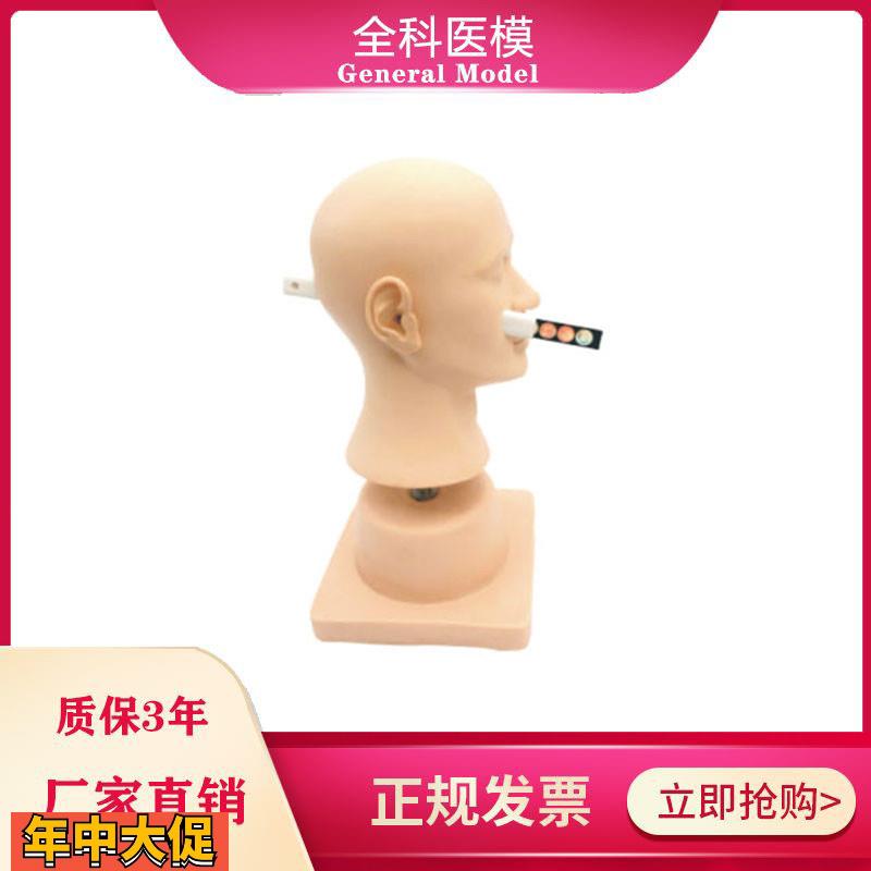 高级耳诊断模型正常病变的鼓膜模块耳内检查模型