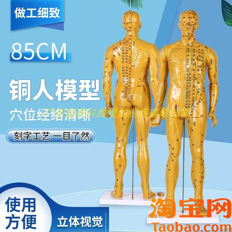 85cm超清晰经络通针灸铜u人体穴位模型中医针灸人体模型十二经络