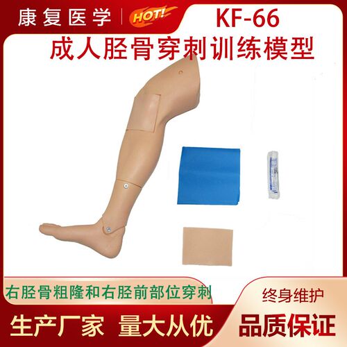 成人胫骨穿刺训练模型下肢骨髓穿刺医学用腿部W教学训练模块