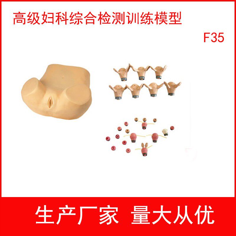 高级妇科综合检测训练模型 检查妇产科M教学模型 妇婴训练模