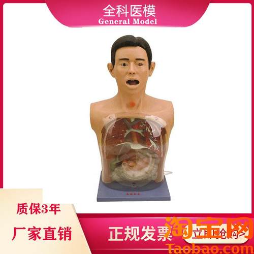 透明洗胃模型带警示医学训练鼻饲气管切开护理插X胃管教学模具