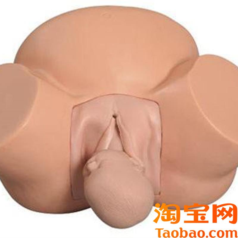 分娩示教模型高级难产示教训练模型妇产科难产助产分Y娩教学模型