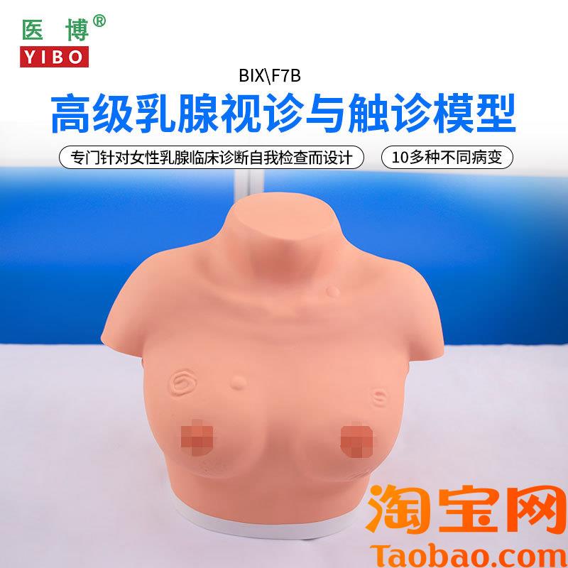 医博BIX-Fh7B高级乳腺视诊与触诊模型乳房检查模型乳房乳腺病变检