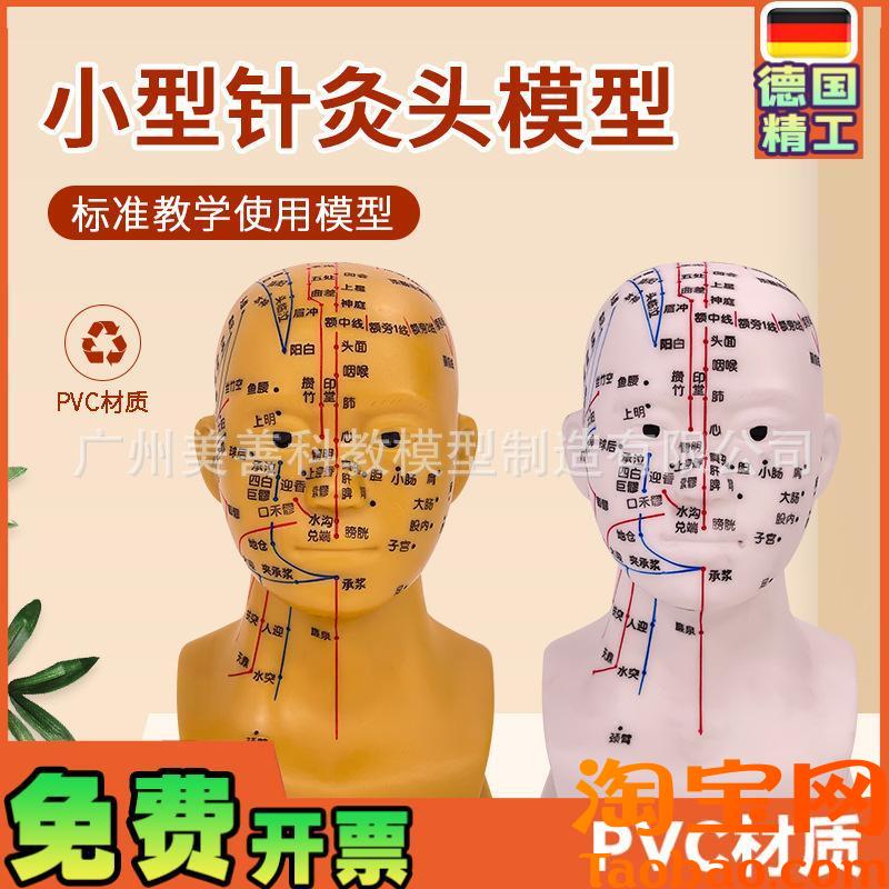 原装适用头部针灸穴位模型人体头部针灸模型20CM小型头部四功能针