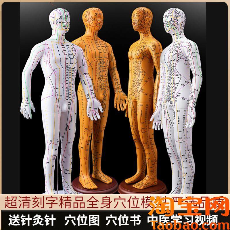 针灸穴位人体模型可扎针经络全身图E小铜人模特大真人十二人形练