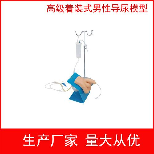 实习护理c模型 女性导尿模型 生殖器教具 着装式男性导尿模型