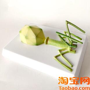 原装适用噬菌体模型感染细菌真菌藻类放线菌螺旋体微生物学校实验