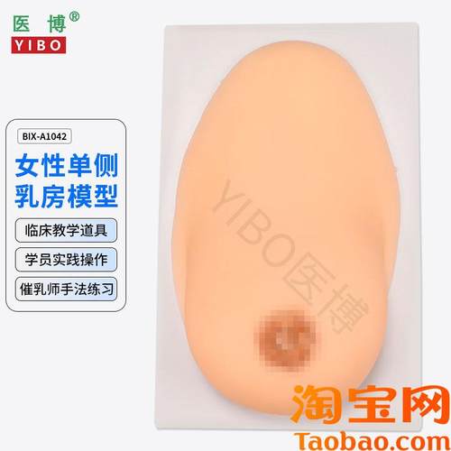 医博BIX-1042成人女性t单侧硅胶乳房模型仿真触感催乳手法训练教