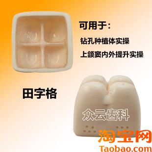 原装适用上颌窦提升操练模型种植牙练习模型口腔种植软牙龈齿科材