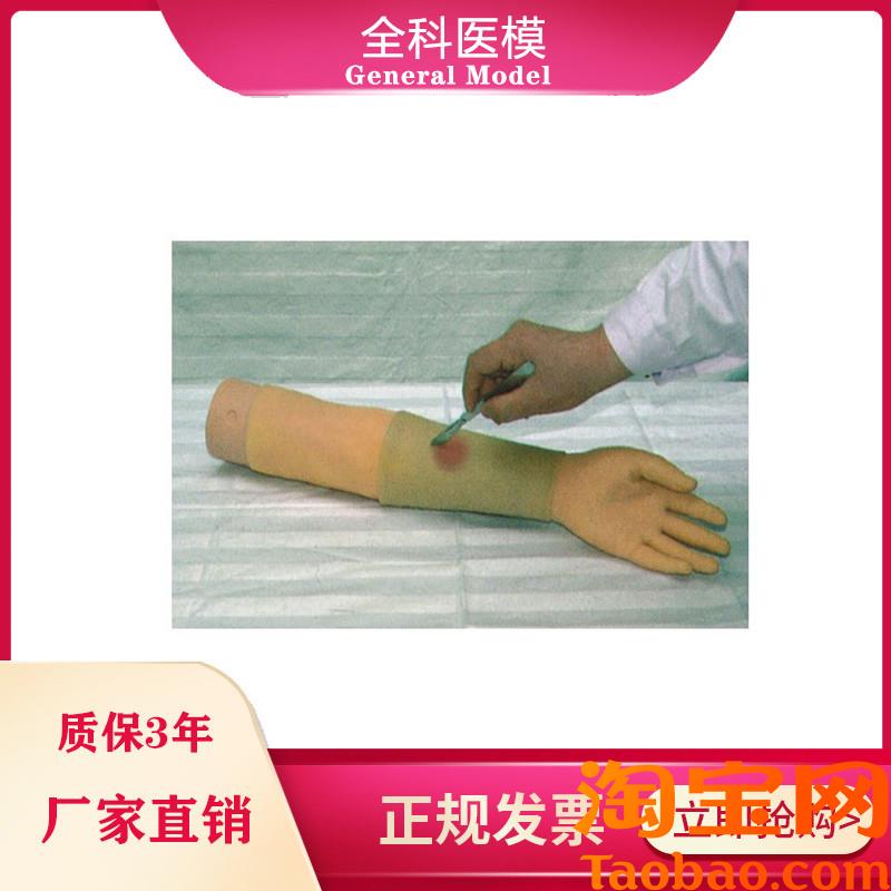 上肢脓肿切开仿真模型