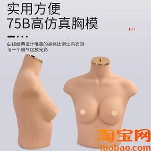 新款 C网店内衣拍照软体硅胶 女胸模内衣模特道具仿真人x胸模75B