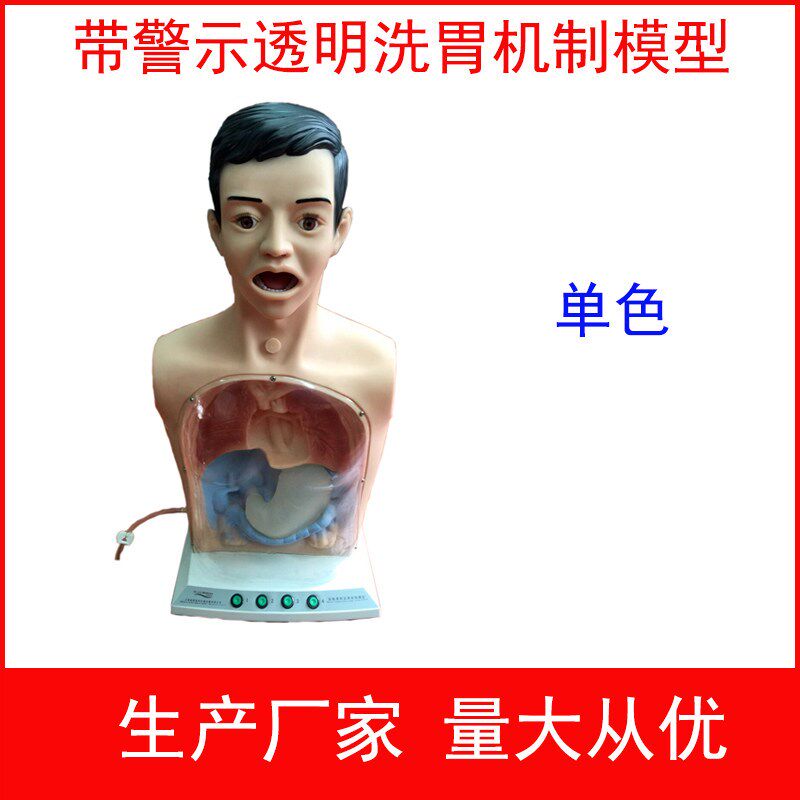 带警示透明洗胃机制模型高级A透明洗胃机制模型洗胃练习模型