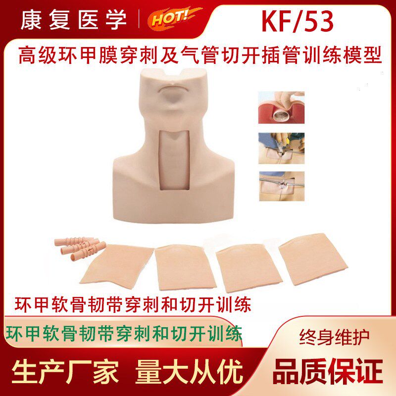 环状软骨气管切开术训练 高级环甲膜穿刺及气管切开插.管训练模型