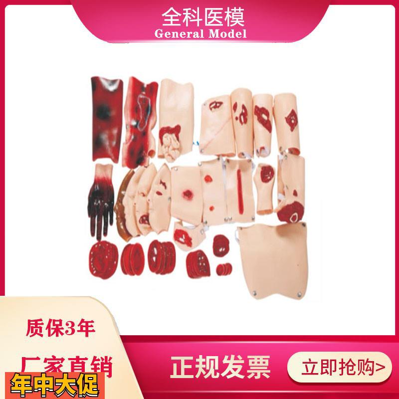 G110-43部件创伤评估模块伤情化妆套装战救伤口识别练习模型