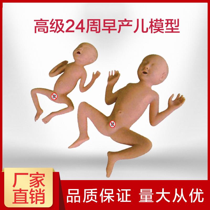 原装适用高级24周早产儿模型FT13早产儿模拟模型早产儿基础护理模
