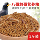 八哥饲料鸟饲料营养鹩哥鸟食海八黑八专用鸟粮八哥粮鸟料5斤虫