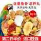 大型鸟食灰机折中饲料大金刚葵花亚马逊黄帽营养鸟粮滋养丸1斤