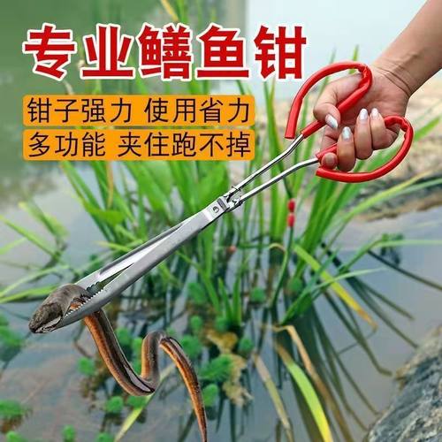 泥鳅黄鳝夹鳝鱼夹不锈钢钳子防滑赶海神器抓螃蟹龙虾工具火钳垃圾