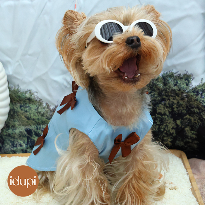 idupi原创品牌猫狗春夏连衣裙