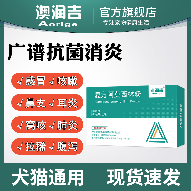 猫鼻支狗狗术后呕吐消炎感冒药