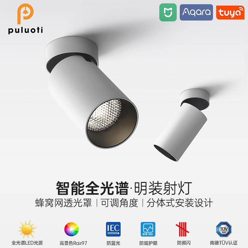 普洛缇明装筒灯全光谱可调角度无主灯高级感家用客厅深杯防眩射灯