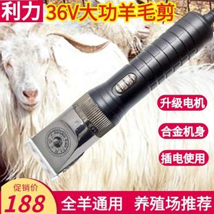 羊毛剪 利力36V绒山羊电推剪大功率宠物推剪狗毛兔毛 狗狗剃毛器