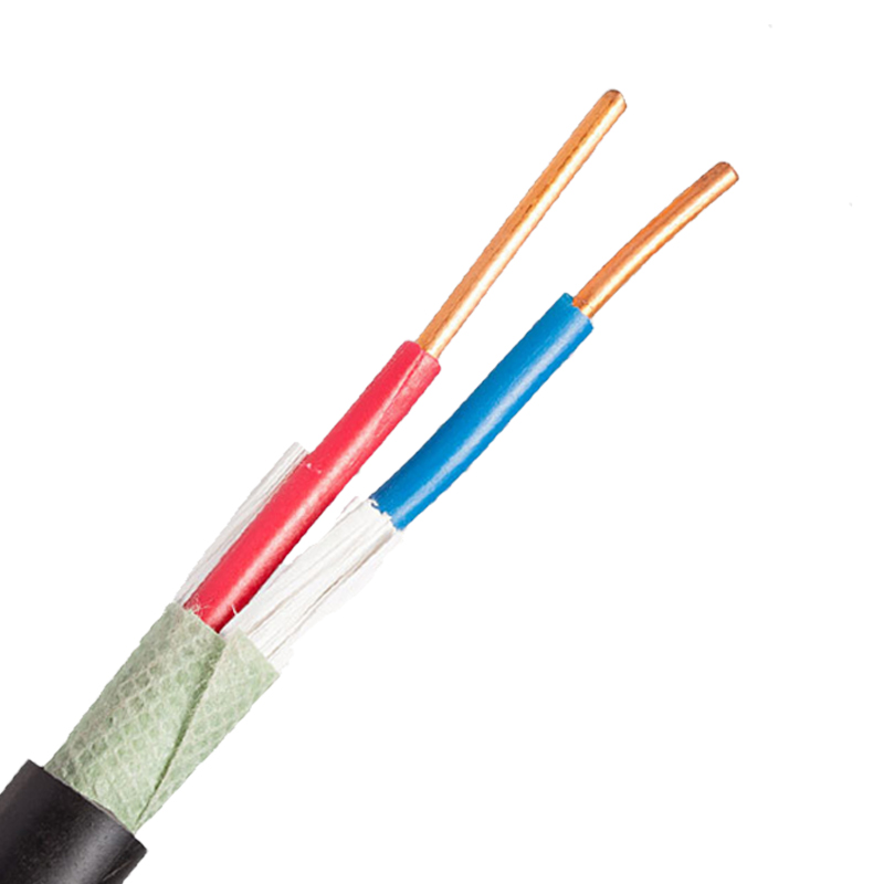 铜芯电力电缆YJV/VV2*1.5/2.5/4/6平方塑力缆路/信号Z灯电源架空