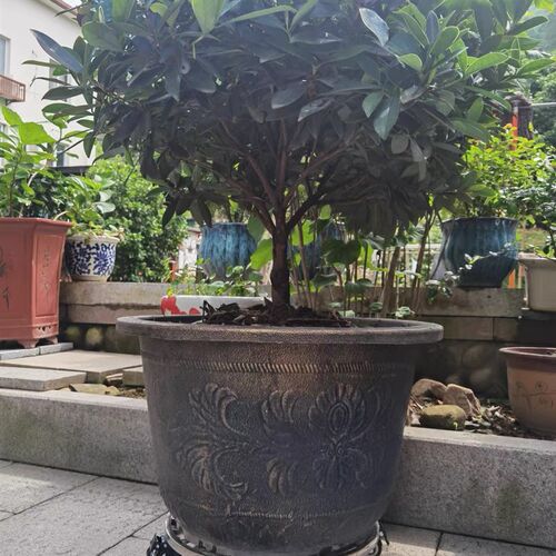 不锈钢圆形移动大花盆底座万向轮带刹车乌龟车花架盆景架鱼缸底座