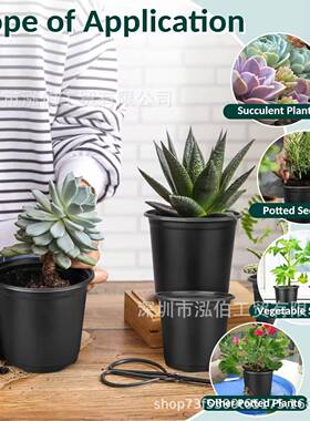 移苗盆塑料花盆黑色小圆盆定植盆多肉育苗盆小黑盆带孔透气控根