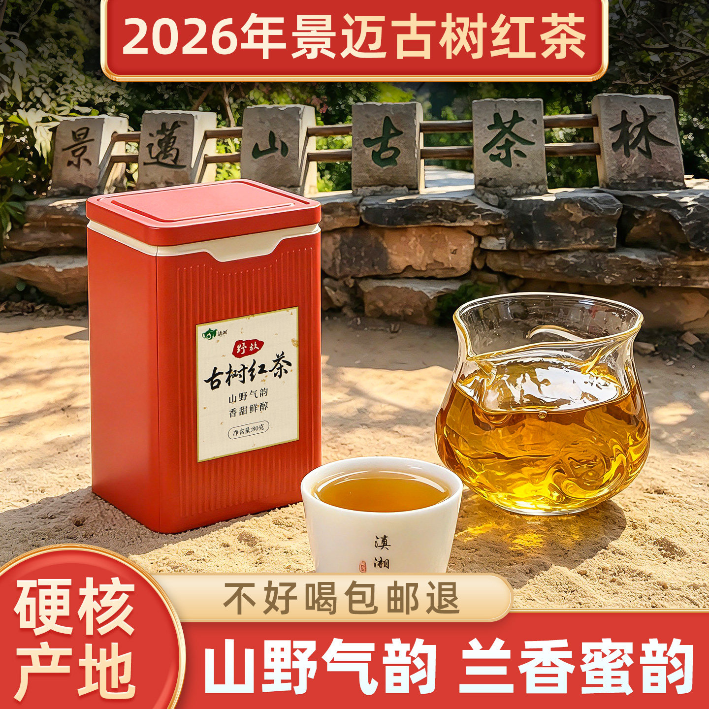 景迈山古树滇红茶云南高山大叶种野放红茶2026年头春茶山野花果香