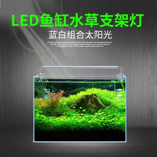 海水鱼缸灯具价格 海水鱼缸灯具图片 星期三 海水鱼缸灯具价格 海水鱼缸灯具图片 星期三