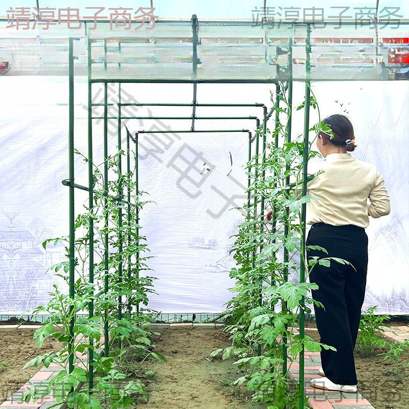 爬藤架葡萄黄瓜豆角架种菜花支架庭院园艺花卉植物支撑杆西红柿架