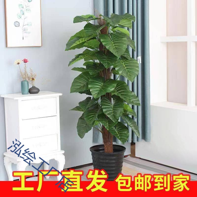 滴水观音客厅仿真绿植高端轻奢室内花假树摆设造景大型塑料盆