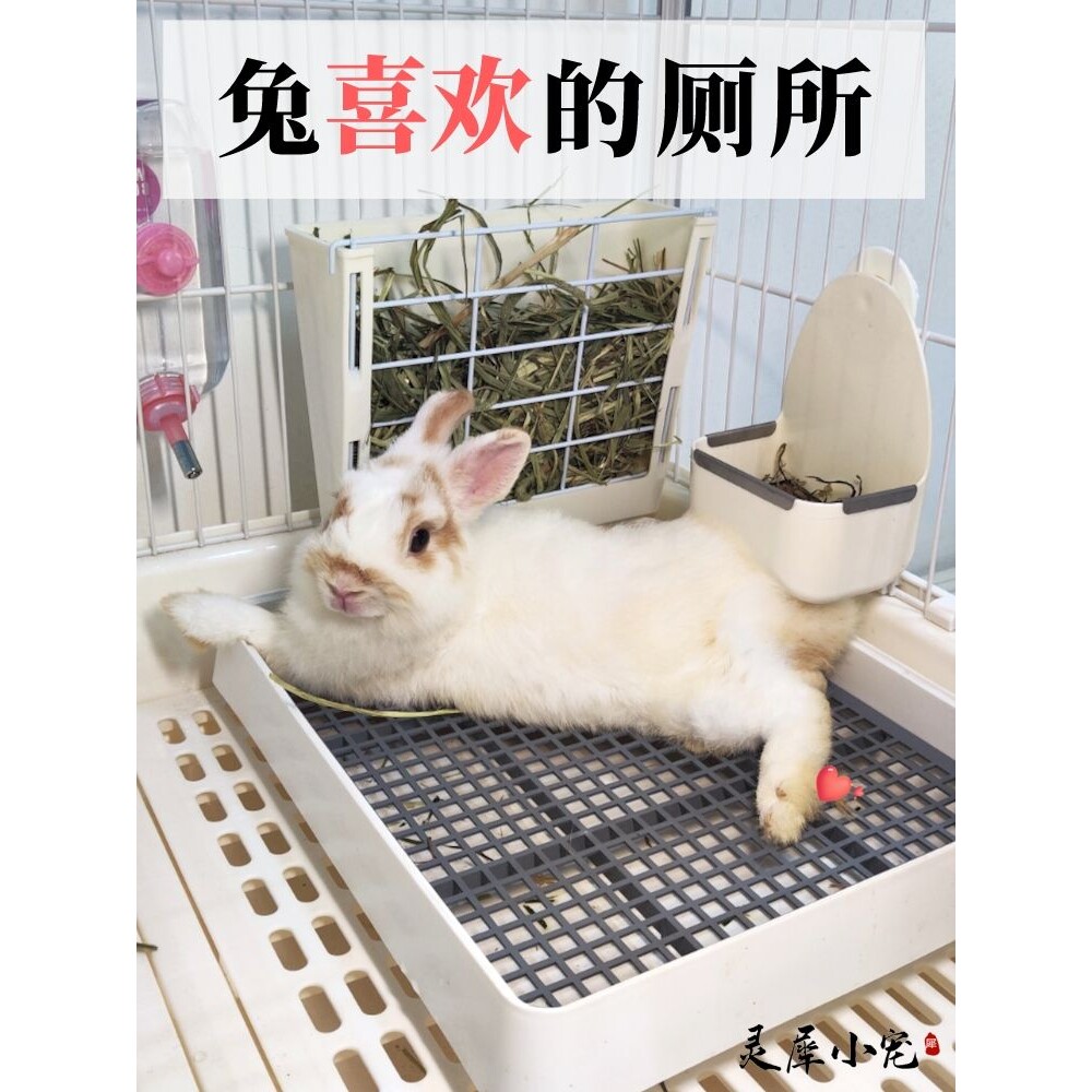兔兔专用宠物兔子厕所大号屎盆荷兰猪天竺鼠尿盆豚鼠便盆用品大码