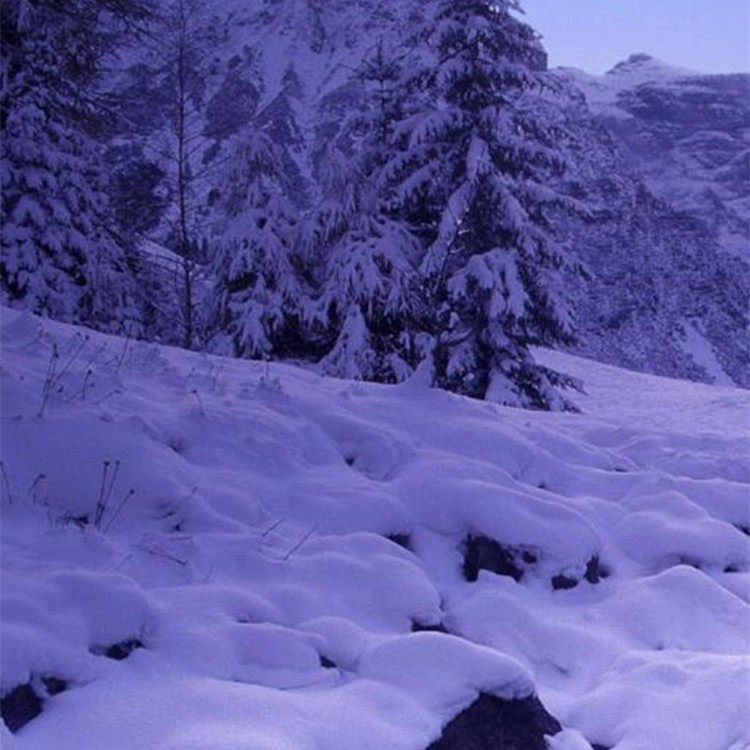 这是一家感情店一分钱素材12345
