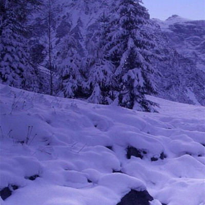 这是一家感情店一分钱素材1
