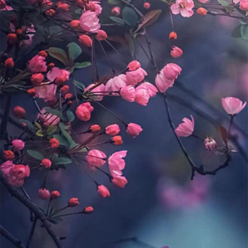 这是一家感情店一分钱素材