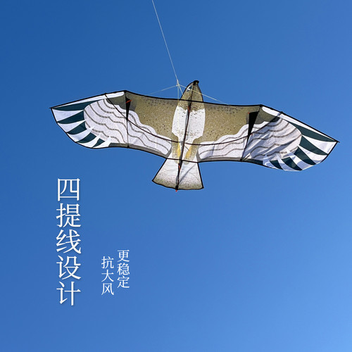 抗大风2-5级风力板鹰翔仑风筝