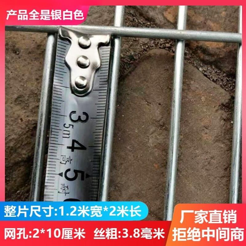 镀锌网片铁丝网围栏加粗狗笼底网铁丝网片笼铁网格网建筑钢筋网片